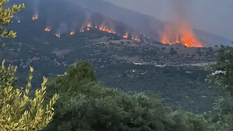 Borsh/ Flakët jashtë kontrollit, u afrohen shtëpive