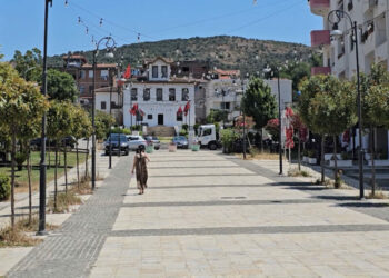 Për turizëm dentar në Lushnje! Italianët vizitojnë edhe atraksionet