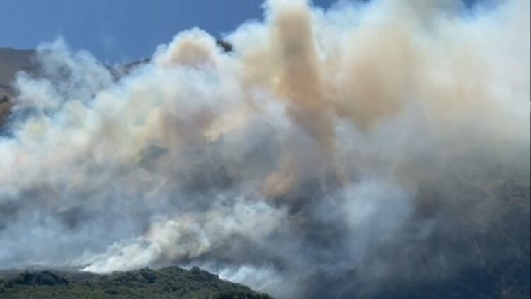 Situatë alarmante në malin e Sevasterit në Vlorë, pritet ndërhyrja nga ajri