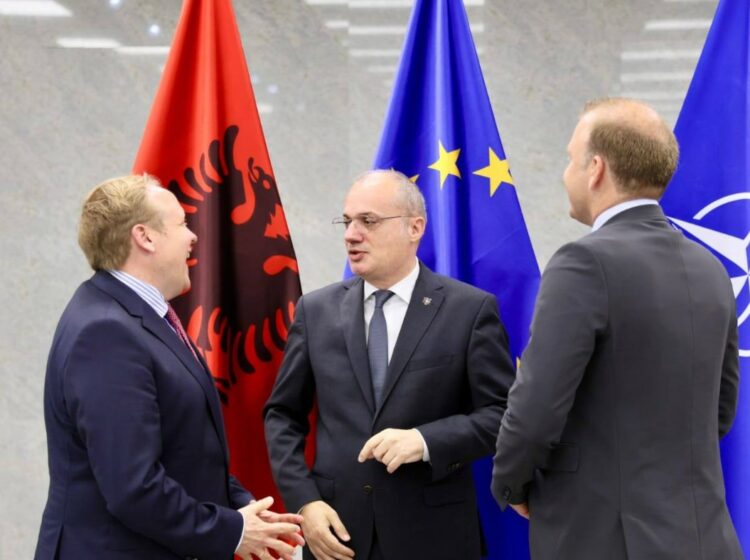 Hasani me anëtarët e Bundestagut: Gjermania, partner kyç për reformat dhe integrimin