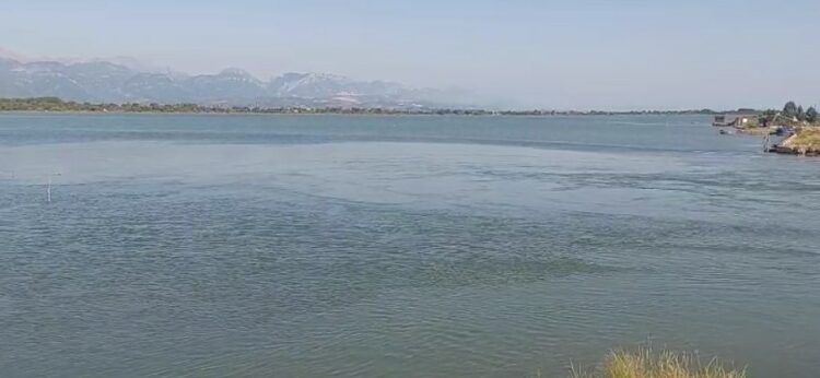 Kurbin/U fut për tu larë në Luginën e Patokut, gjendet trupi i pajetë i 15-vjeçarit