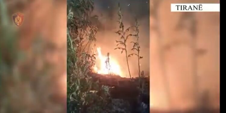 Tiranë/ Dogji tri sipërfaqe toke dhe rrezikoi 1 karburant, pranga 34-vjeçarit