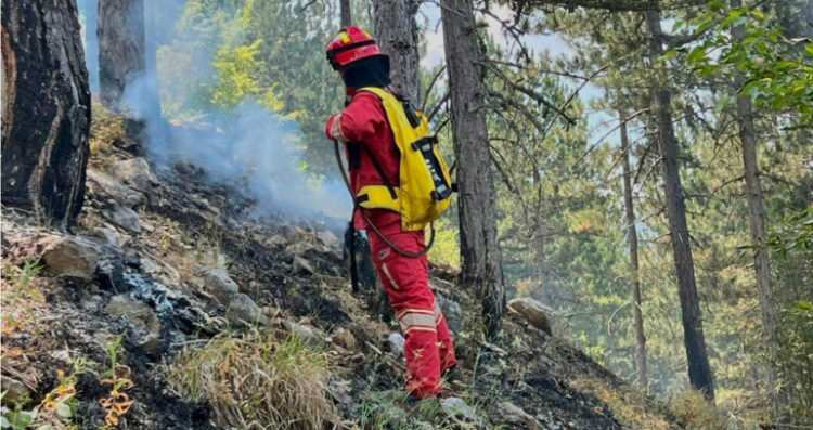 Situata me zjarret në vend/ Ministria e Mbrojtjes: 29 vatra në 24 orë, 2 ende aktive