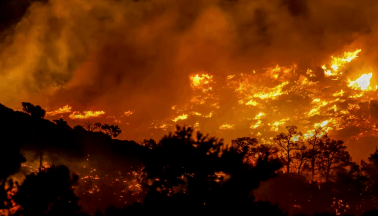 Si po i nxit ndryshimi i klimës zjarret në Evropë?