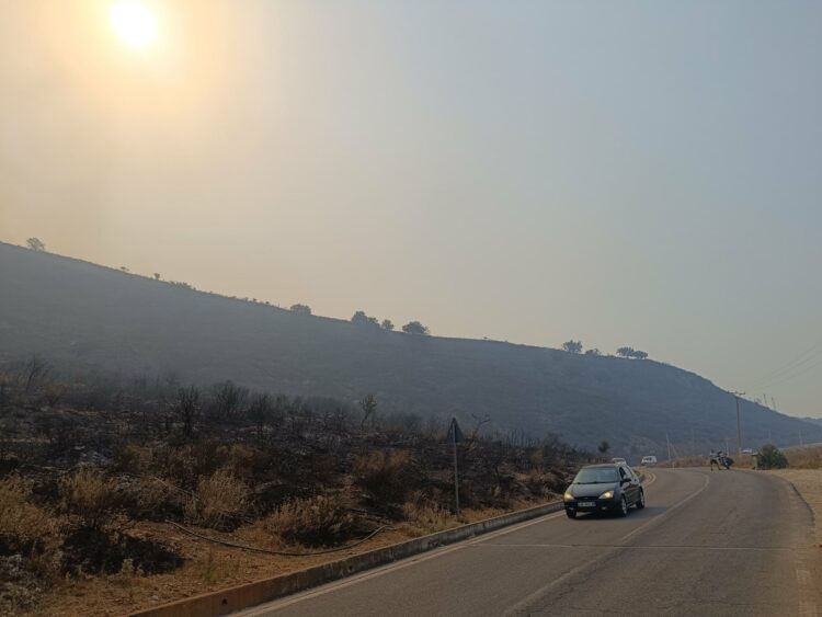 “Borshi shpëtoi nga zjarri”/ Inspektori i Përgjithshëm-pushuesve: Mirë se të vini!