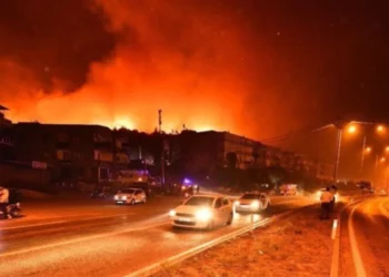 Video/ Zjarret në Turqi, mbyllet autostrada që lidh Izmirin me Çeşmenë