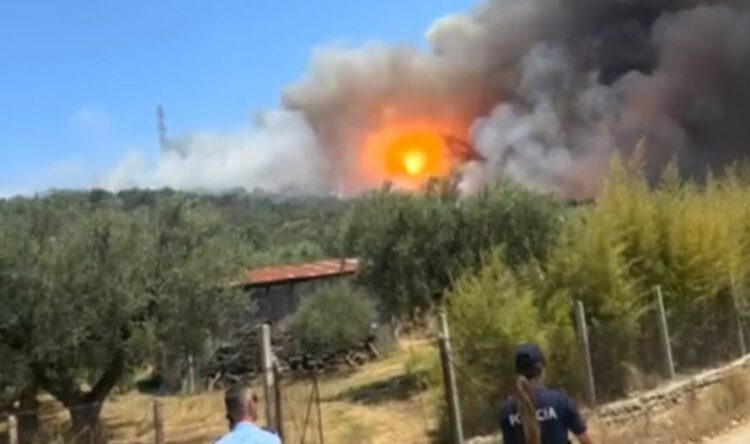 Policia e Fierit arreston një 64-vjeçar, dyshohet autor i zjarrvënies në Frakull