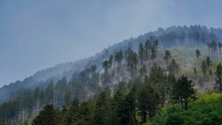 Zjarret në Kosovë, raportohet për 29 vatra aktive