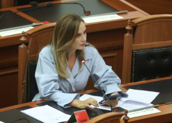 Tabaku: Shqipëria ka nevojë për ligj serioz për investimet e huaja, jo për…