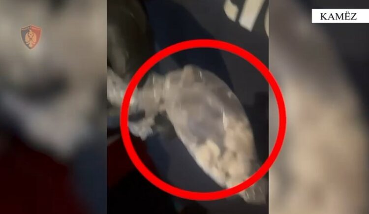 Policia i gjeti kokainë të ndarë në doza, gati për shitje/ Pranga 29 vjeçarit