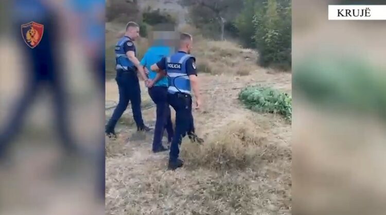 Krujë/ Kultivonin bimë narkotike në fshatrat Krastë dhe Brret, 2 në pranga