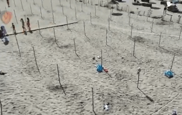 Hiqen mbi 1500 komplete me çadra në plazhin e Gjirit të Lalzit,procedohen 14 shtetas