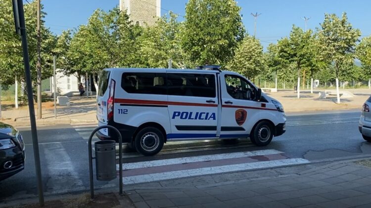 Trafiku i armëve nga Kosova në Shqipëri, burg për dy të arrestuarit