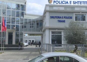 Hyri në e-Albania me të dhënat e të afërmes dhe mori kredi, nën hetim 32-vjeçarja