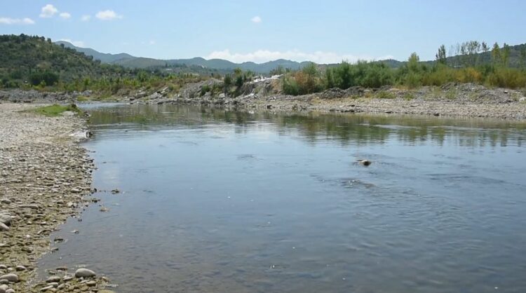 Elbasan/ Ishin duke ruajtur bagëtitë, mbyten dy fëmijë në lumin Shkumbin