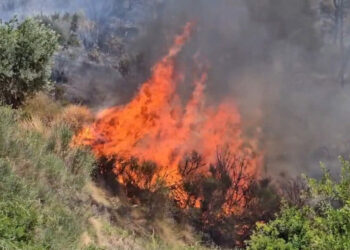 Situata e zjarreve, zjarrfikësit në luftë me flakët në të gjithë vendin