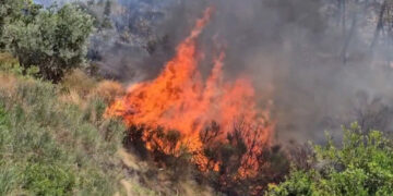 Situata e zjarreve, zjarrfikësit në luftë me flakët në të gjithë vendin