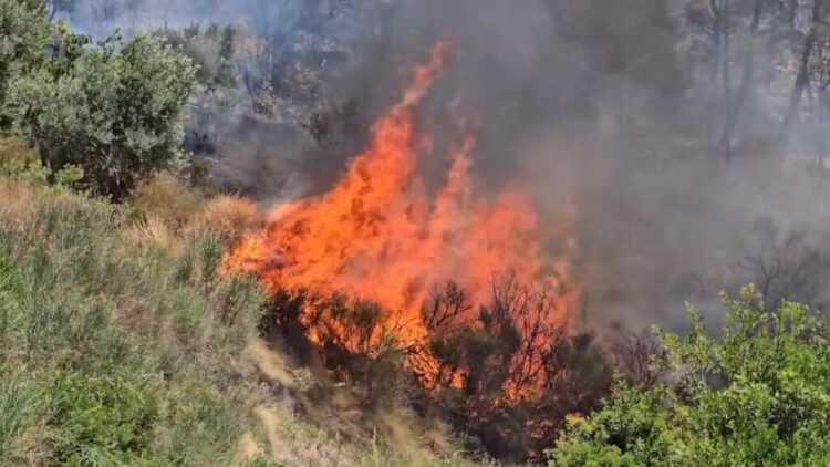 Situata e zjarreve, zjarrfikësit në luftë me flakët në të gjithë vendin