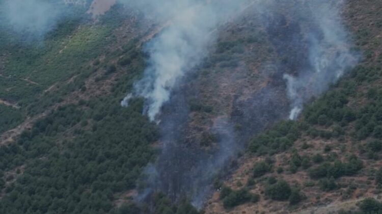 VIDEO/ Përfshihet nga flakët masivi pyjor në Pogradec