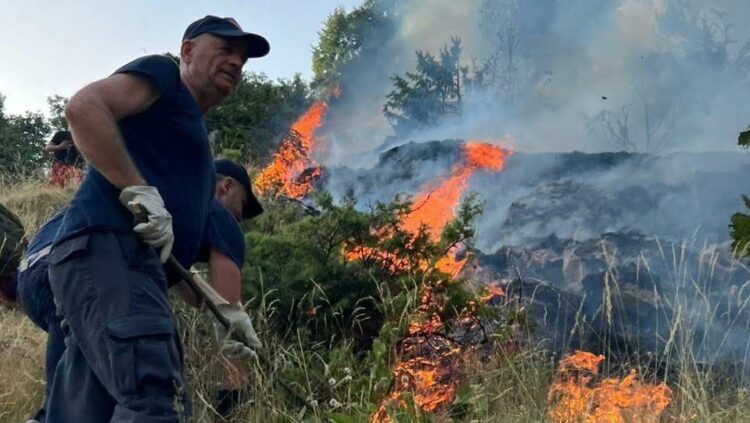 Rama për shefin e Policisë së Delvinës: Rrezikoi jetën të shpëtonte të tjerët
