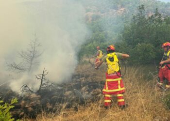 Digjen 7 hektarë bimësi/ Vijon të jetë aktive vatra në Parkun e Prespës