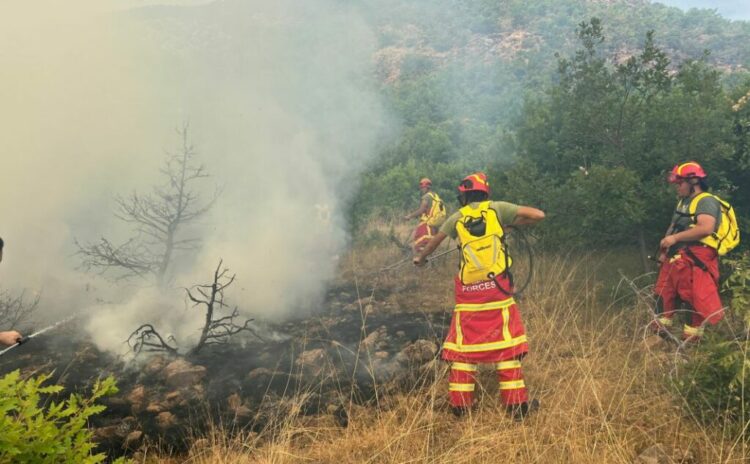 Digjen 7 hektarë bimësi/ Vijon të jetë aktive vatra në Parkun e Prespës
