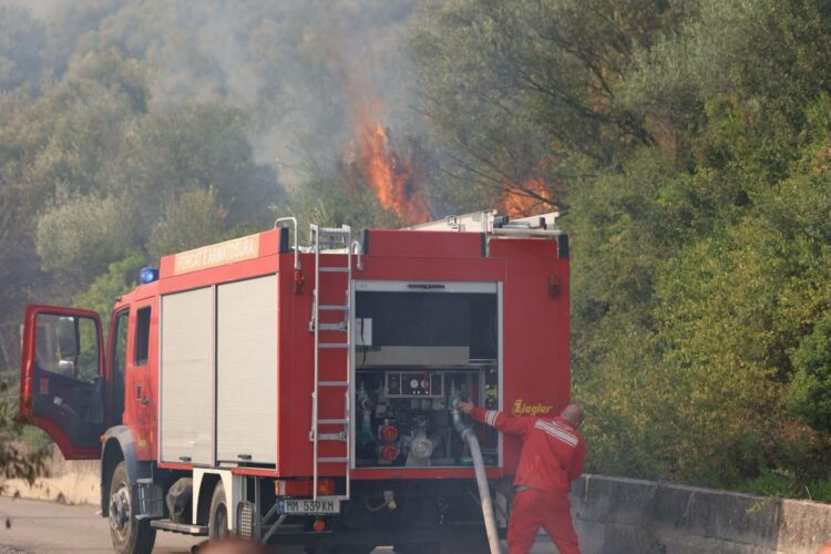 Zjarrvënia në disa qarqe/ Policia arreston dhe procedon 12 shtetas