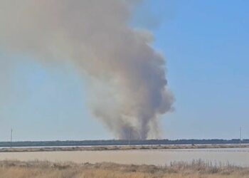 Zjarri përfshin pyllin me pisha pranë lagunës së Nartës