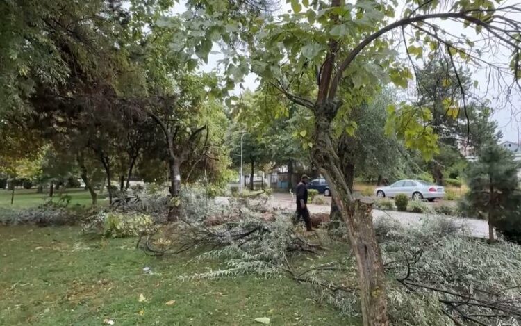 Pemë të thyera, e tenda të rrëzuara, pasojat e stuhisë në Pogradec