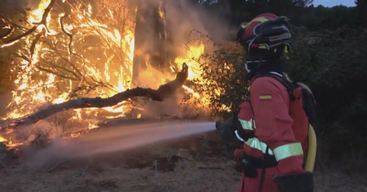 Europa në luftë me zjarret/ Vihen nën kontroll flakët në Athinë, evakuimet vijojnë