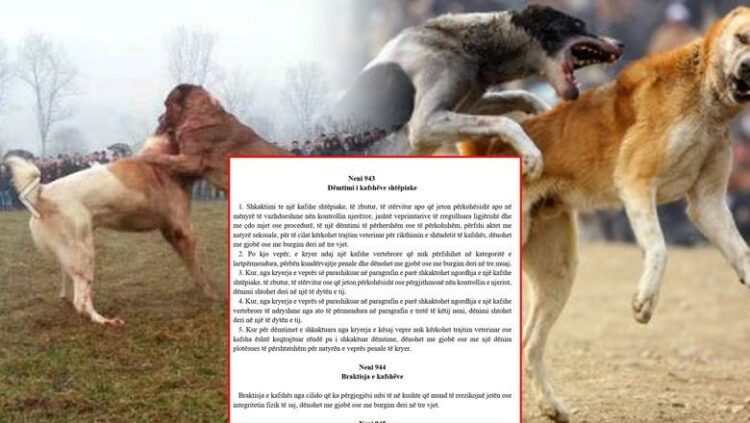 Drafti i Kodit të Ri penal/ 3 vite burg nëse braktisë ose keqtrajton kafshët