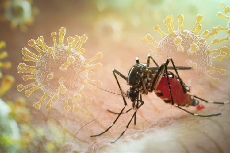 Mbart disa viruse, mushkonja tigër po përhapet me shpejtësi në Europën Veriore