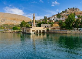 Qyteti ku çelin vetëm trëndafila të zinj