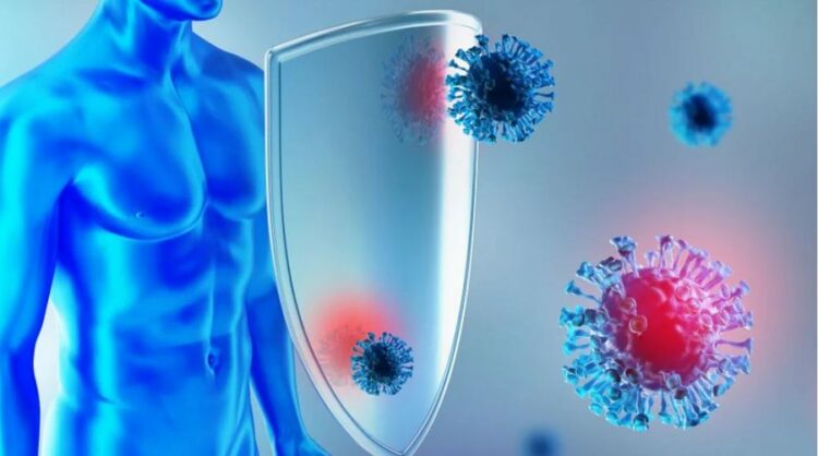 Testohet me sukses te minjtë, së shpejti një terapi universale antivirale