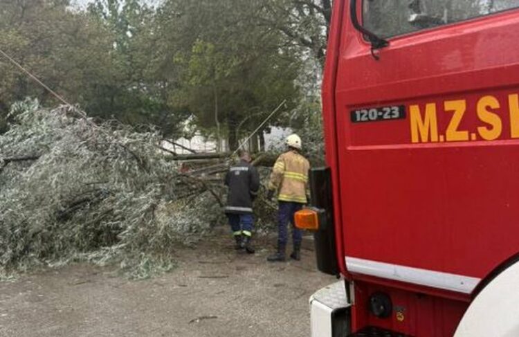 Stuhi dhe reshje shiu në jug-lindje të vendit, shkaktohen dëme në Maliq