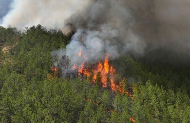 Zjarr në malin e Skërficës, rrezikohet pylli kombëtar i Pikësit