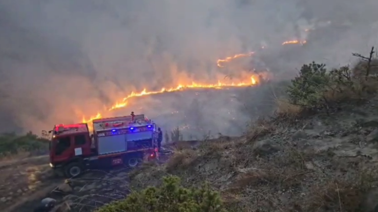 Uzina e armëve në Poliçan u rrezikua nga zjarrvënia e qëllimshme