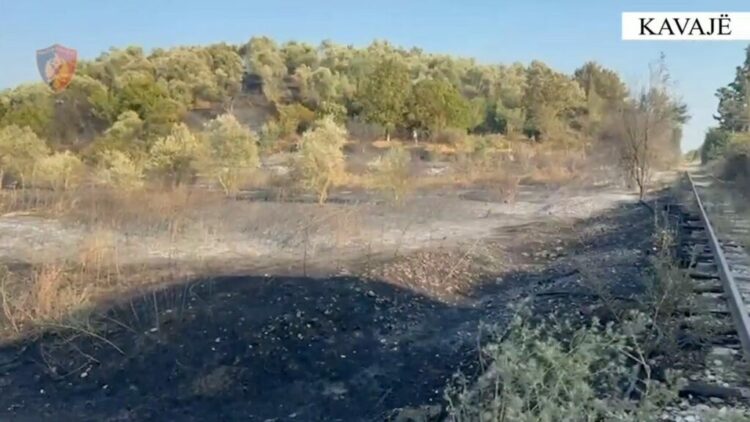 Dogji një sipërfaqe të madhe toke me pemë frutore, arrestohet autori në Kavajë