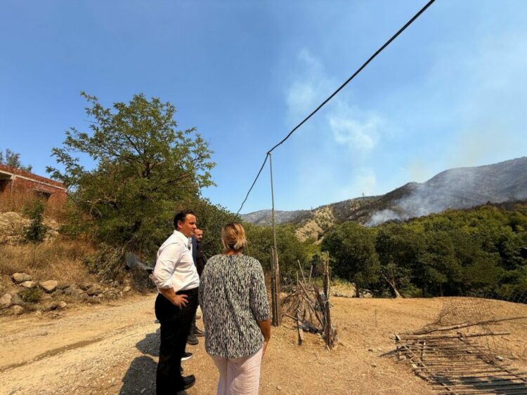 Situata me zjarret në Tiranë/Nënkryetari Sulaj: Zjarrvënësit do përballen me ligjin