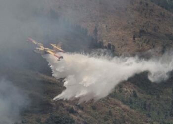 “Neveri për lehaqeniet që…”/ Rama: Situata me zjarret e përmirësuar falë sakrificave