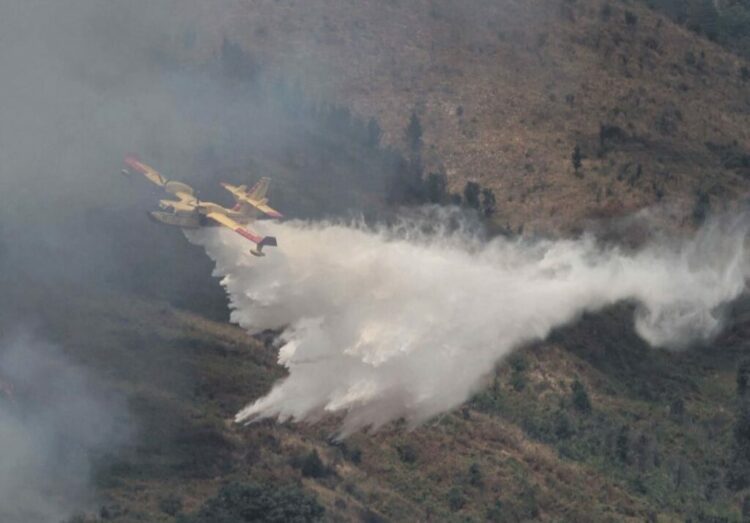 “Neveri për lehaqeniet që…”/ Rama: Situata me zjarret e përmirësuar falë sakrificave