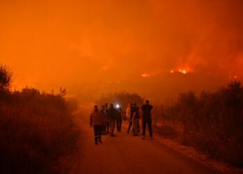 Shqipëria në flakë/Policia bën bilancin:Që nga qershori janë arrestuar 46 zjarrvënës