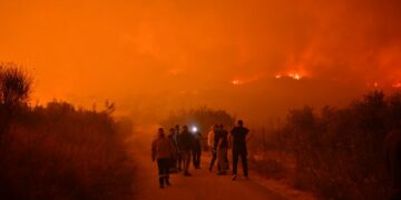Shqipëria në flakë/Policia bën bilancin:Që nga qershori janë arrestuar 46 zjarrvënës