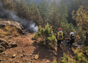 Vengu: Zjarrfikës nga Korça e Pusteci vijnë të ndihmojnë në Skënderbegas të Gramshit