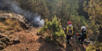 Vengu: Zjarrfikës nga Korça e Pusteci vijnë të ndihmojnë në Skënderbegas të Gramshit