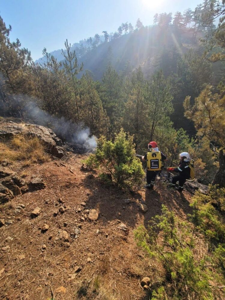 Vengu: Zjarrfikës nga Korça e Pusteci vijnë të ndihmojnë në Skënderbegas të Gramshit