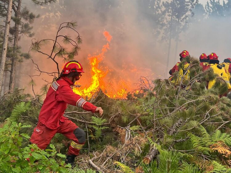 Ministria e Mbrojtjes: Përmirësohet situata me zjarret, nga 28 vetëm 3 vatra aktive