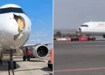 Aeroplani përplaset me zogun, detyrohet të bëjë ulje emergjente në Madrid