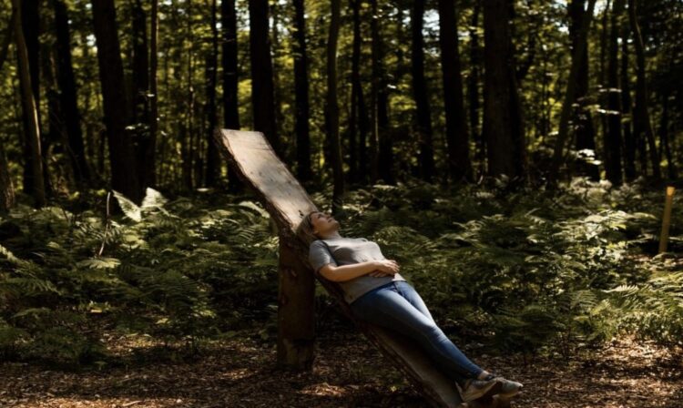 Terapia e heshtur që po ndryshon mënyrën si pushojmë në natyrë