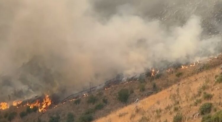Përfshihen nga zjarri pylli dhe kullotat në Tragjas